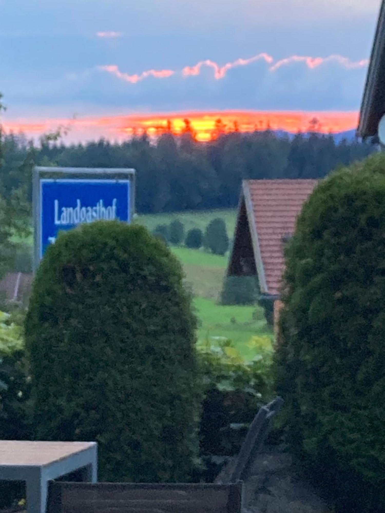Zur Neuen Post Landgasthof Herzogsreut Екстериор снимка
